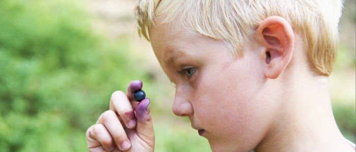 Programmatic Marketing – What Is It? Who Needs It?