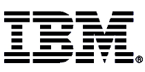 IBM 1 - Partner and ISV Marketing