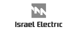 Customers 3 Israel Electric Corporation - Customers